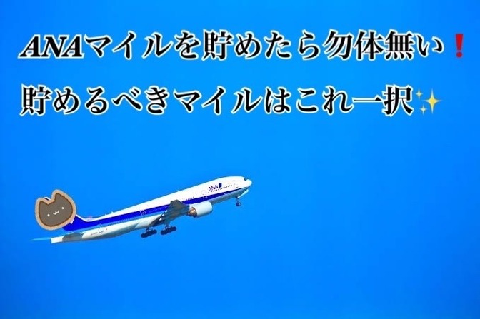 地方の方は必見❗️都市済みの方もお得に飛行機に乗る方法❗️最大半額❗️