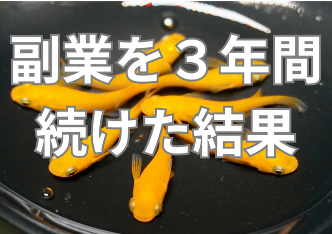 副業を３年間続けた結果