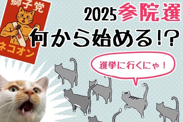 「投票ナビ」で始める！選挙135年目。あなたの一票は？