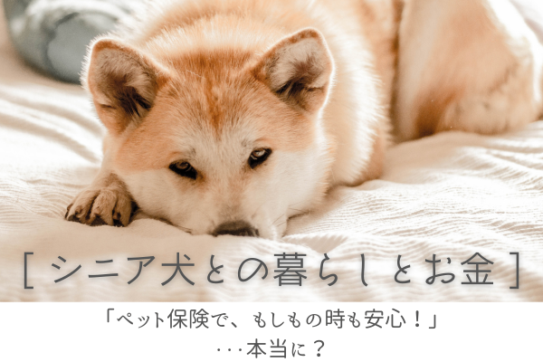【シニア犬との暮らしとお金】「ペット保険で、もしもの時も安心！」…本当に？