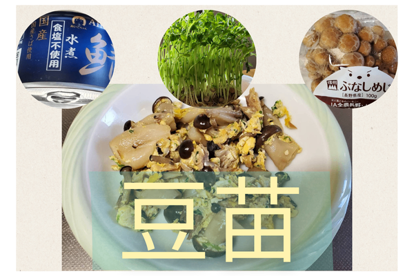 【かんたんレシピ】豆苗とサバ缶としめじの玉子炒め【お手頃価格】