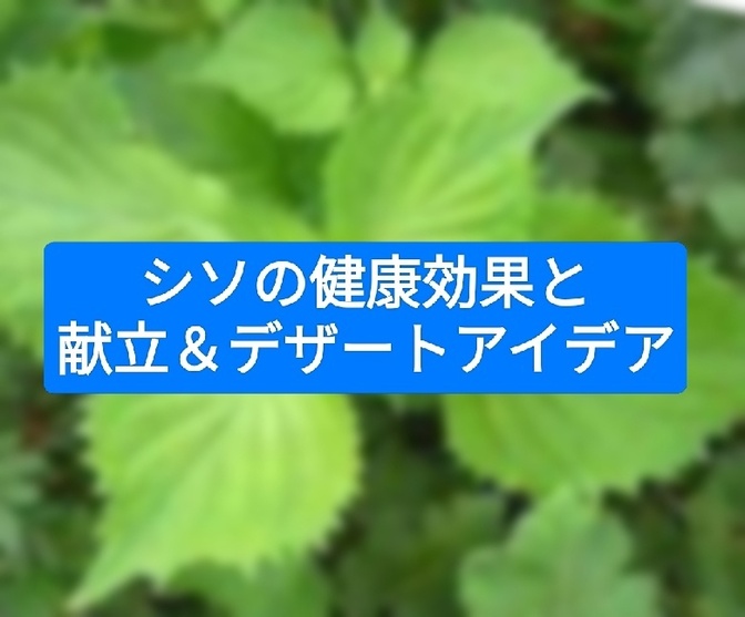 シソの健康効果と献立＆デザートアイデア