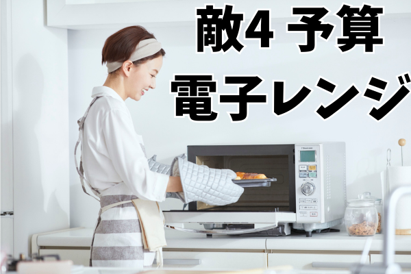 敵4予算の立て方　電子レンジ編