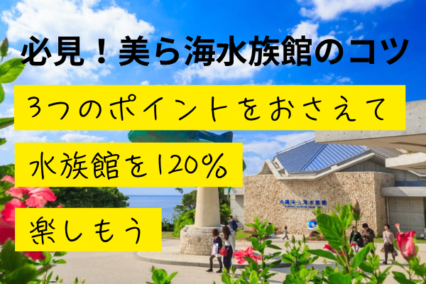 美ら海水族館、朝イチが正解！子連れ家族旅行で効率よく楽しむコツ
