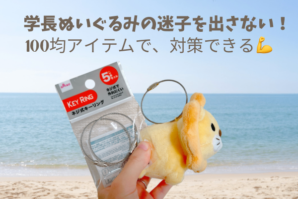 フェスで学長ぬいぐるみが迷子に…を防ぐ、100均アイテムが神！✨