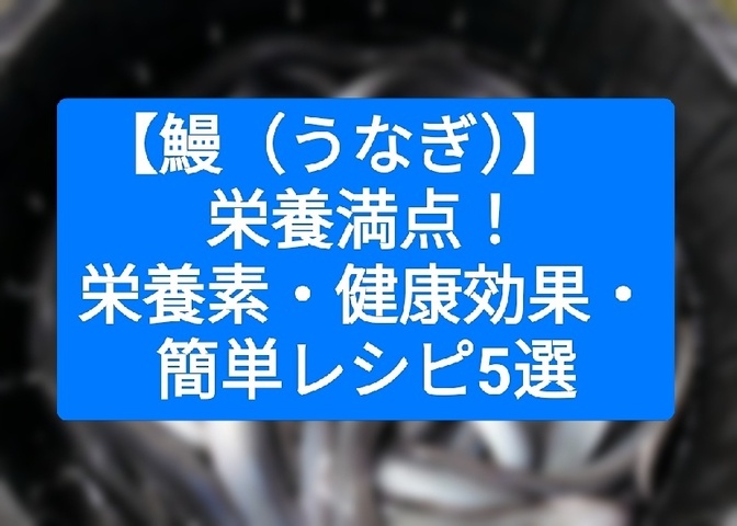 【鰻（うなぎ）】　栄養満点食材！栄養素・健康効果・簡単レシピ5選
