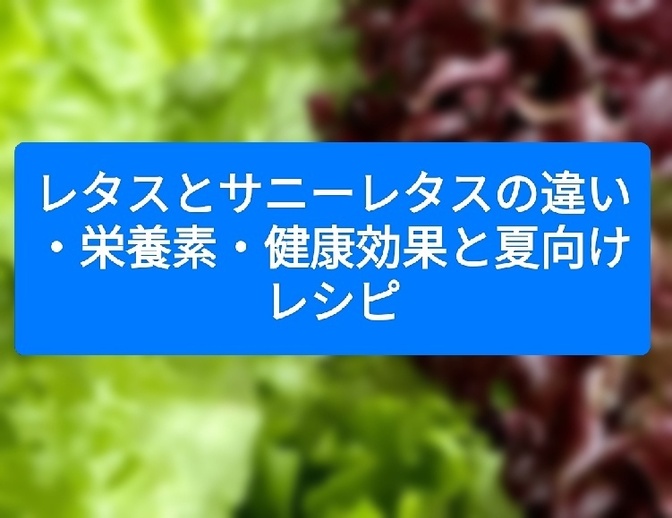 レタスとサニーレタスの違い・栄養素・健康効果と夏向けレシピ