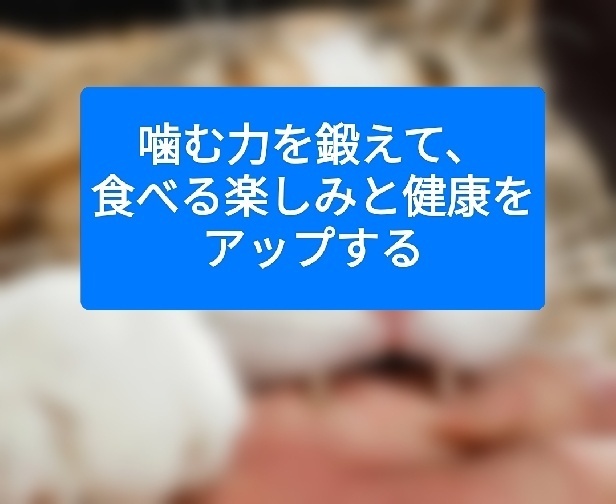 噛む力を鍛えて、食べる楽しみと健康をアップする