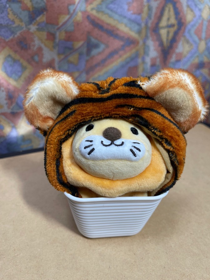 フェスライオンちゃんがトラライオンちゃんに大変身！！！