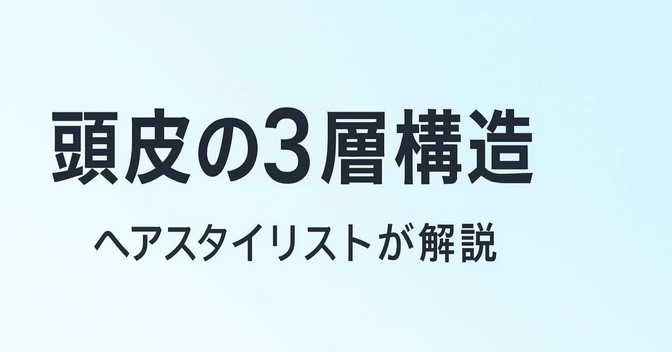 頭皮ケアの基礎①｜髪の土台「頭皮の構造と働き」をスタイリストが解説
