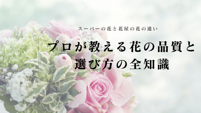 スーパーの花と花屋の花の違いは？プロが教える花の品質と選び方の全知識