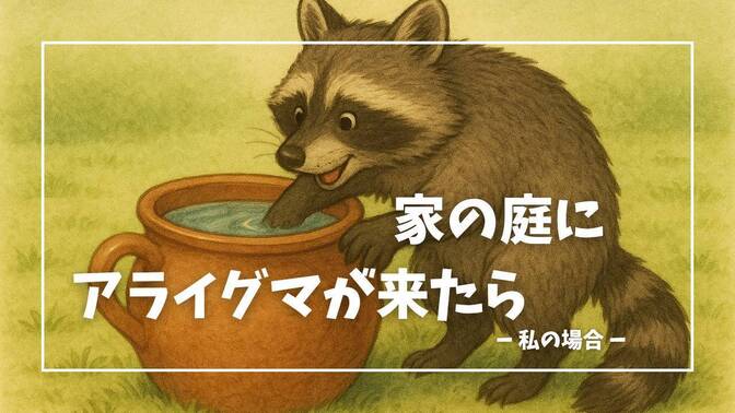 家の庭にアライグマが来た　ときの対応①