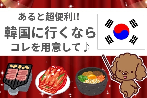 超便利！韓国に行くときに用意するもの