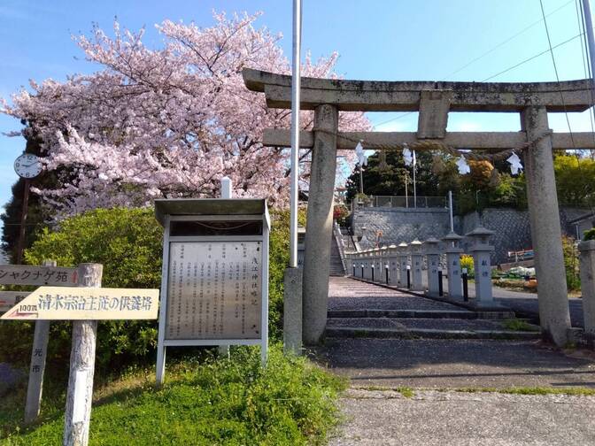 これから社会に出る人ヘ向けのお金のお話し（応援📣します）子供、学生会員さん