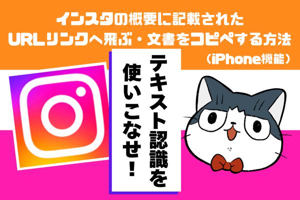 【iPhone】インスタの概要に記載されたURLリンクへ飛ぶ・文書をコピペする方法【小ワザ】