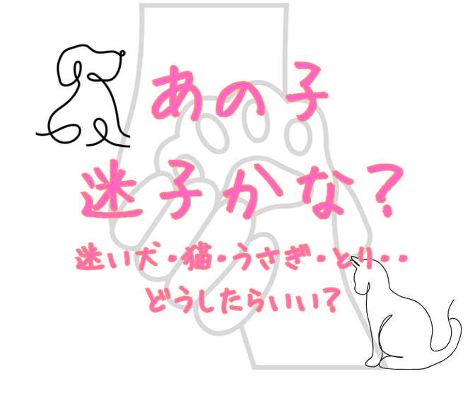 迷子？のペットがいる・保護したときどうしたらいい？