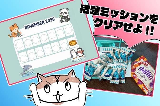 😸＃２週間チャレンジ😸絶対成功させる作戦！宿題「アドベントカレンダー」作戦！！