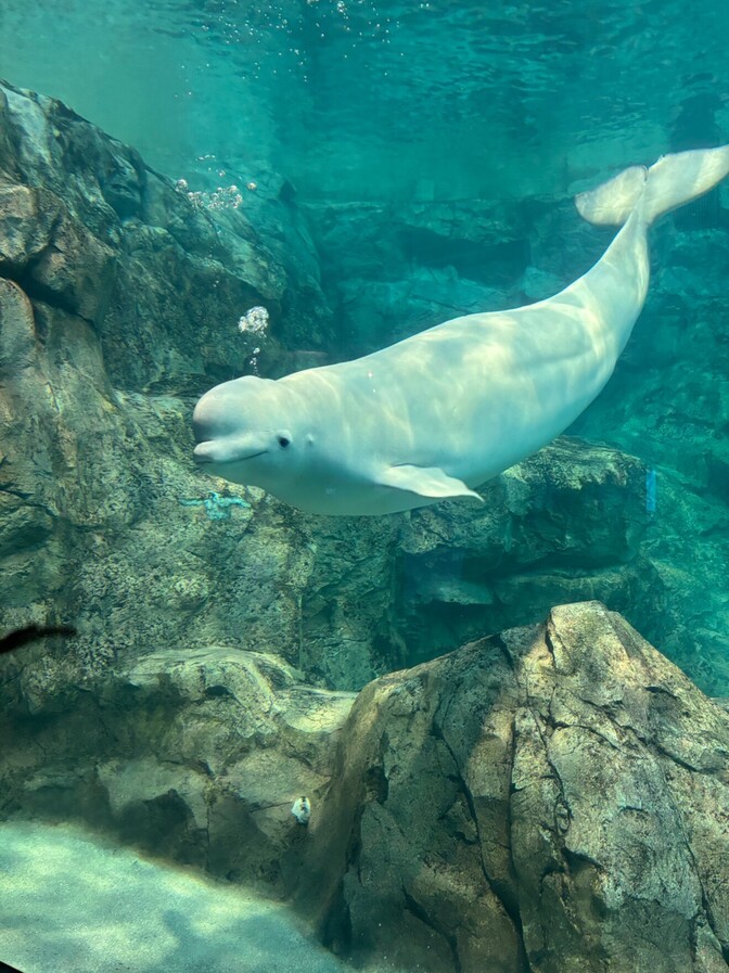 株にフルコミットした人が学んだ“現金の尊さ”