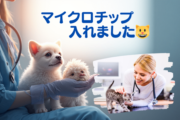 ペットにマイクロチップを入れた体験談🐾