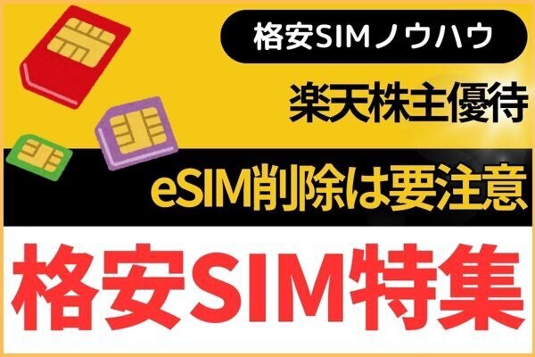 【格安SIM】eSIM削除は要注意