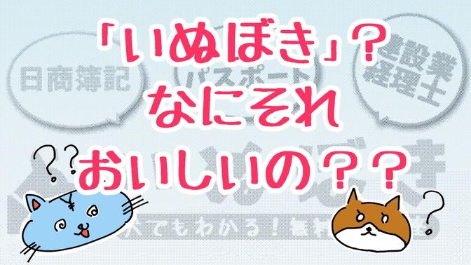 知らなきゃ損！？🙀　簿記が学べるサイト「いぬぼき」をもっと知ってほしい！😸✨