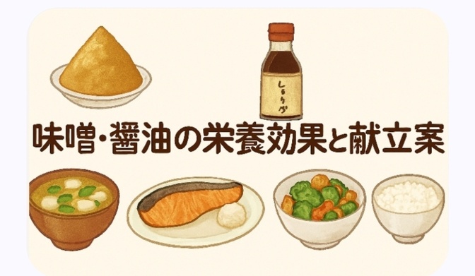 味噌・醤油の栄養効果と献立案