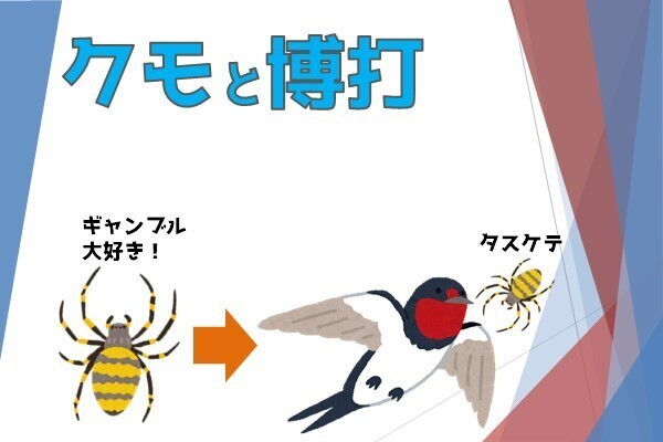 クモに学ぶ【なぜ借金はダメなのか？】
