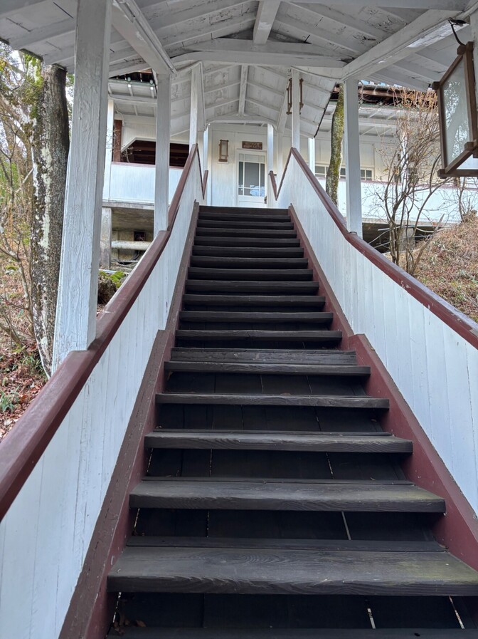 「PFFに投資してみた一年後| 配当と成長の分岐点」