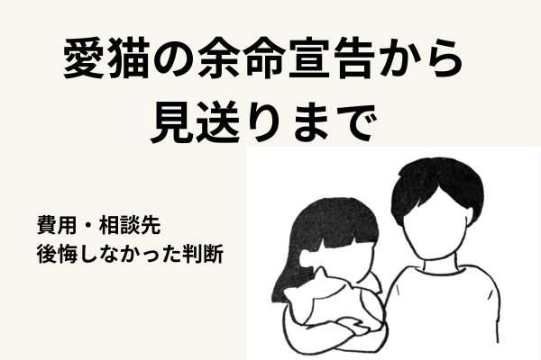 愛猫の余命宣告から見送りまで ―かかった費用・相談先・後悔しなかった判断―