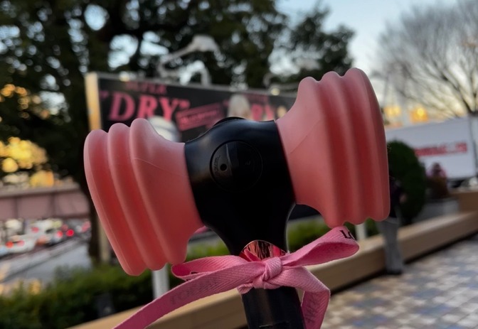 BLACKPINK WORLD TOUR ／プリンセスは実在する