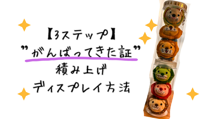 【3ステップ】ぬいぐるみディスプレイでモチベーションUP！埃から守る透明ケース収納術🧸✨