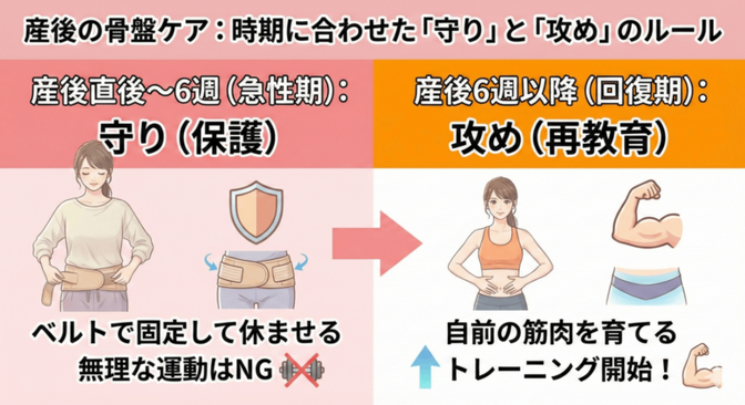 産後の骨盤は「歪んでいる」のではなく「緩んで」います。時期に合わせた「守り」と「攻め」のルール