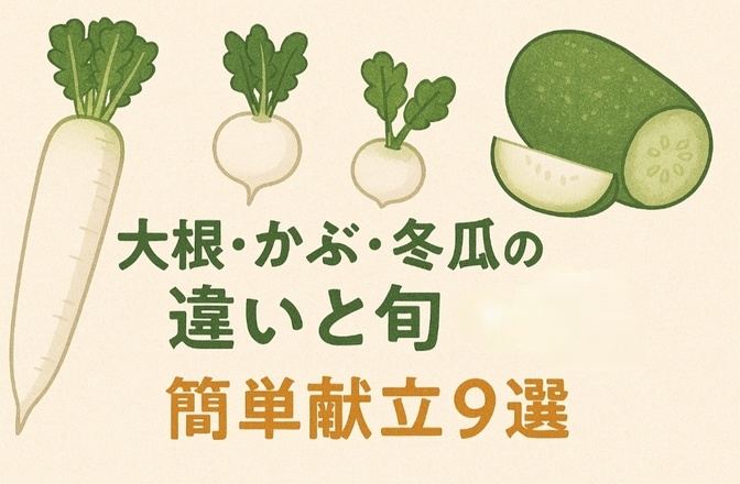 大根・かぶ・冬瓜の違いと旬、簡単献立9選