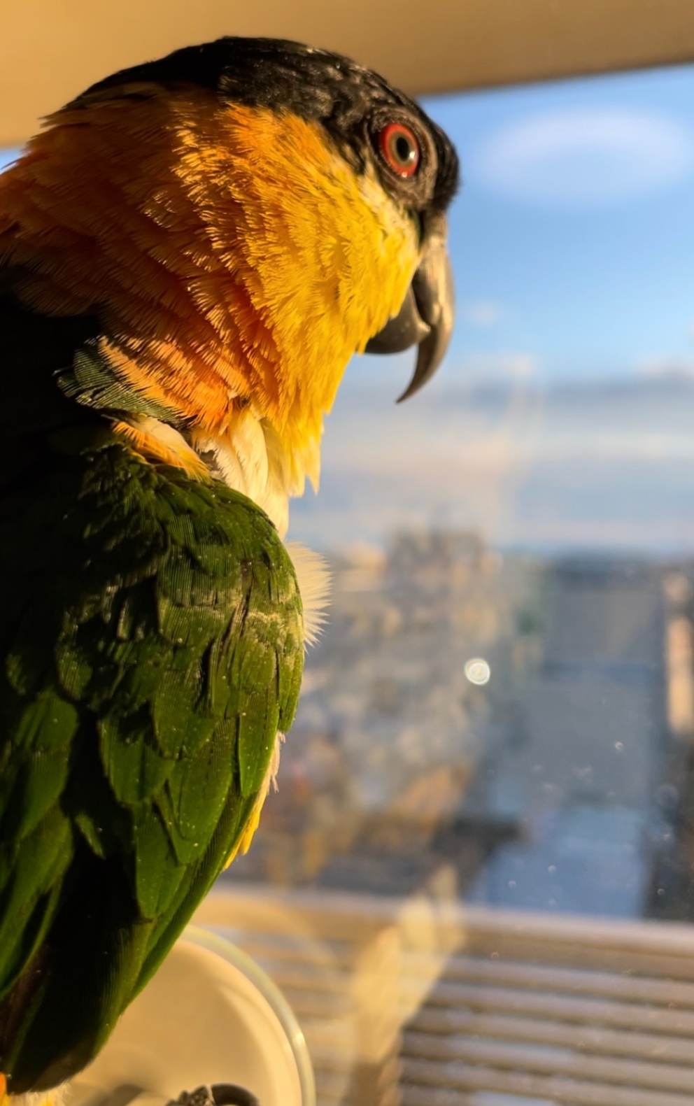 IMG_5797.jpeg
