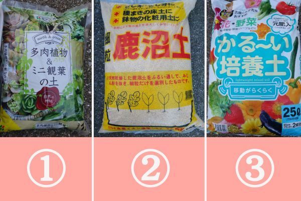 多肉の土実験.jpg