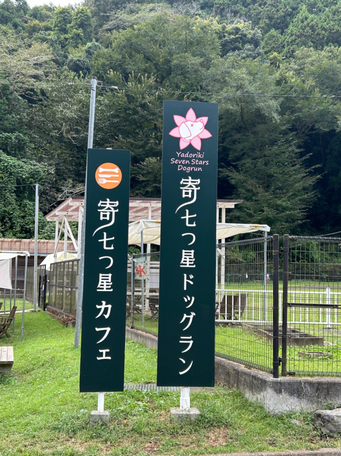 IMG_3658.jpeg