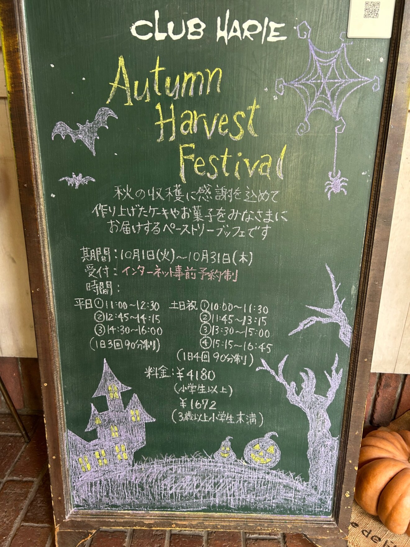 IMG_0741.jpeg