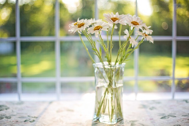 daisies-gca94476a3_640.jpg