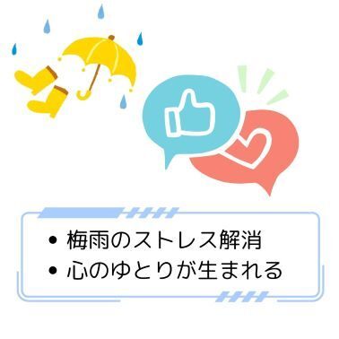 ドラム式画像.jpg