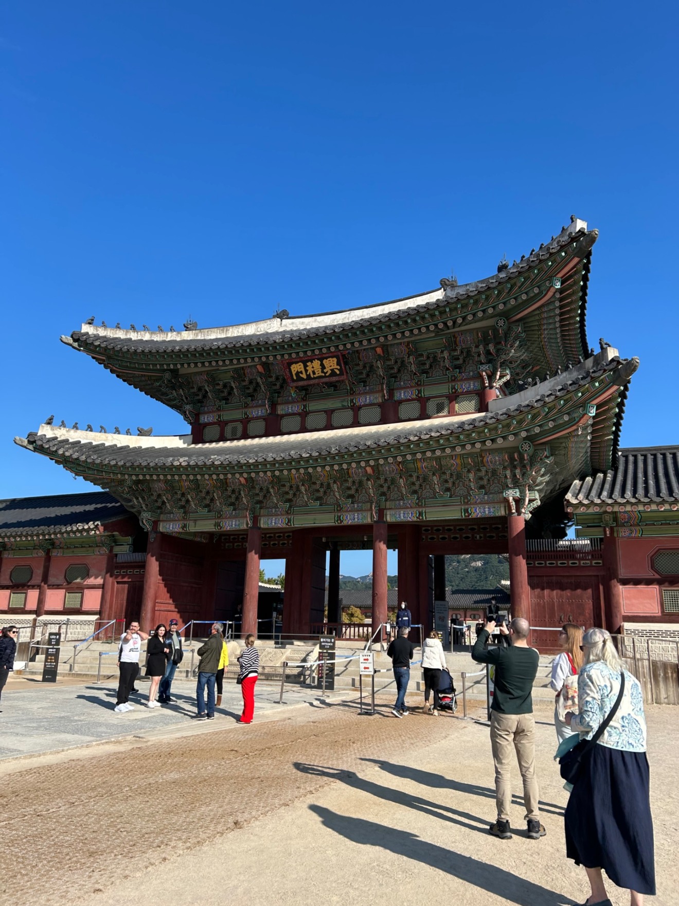 IMG_7240.jpeg