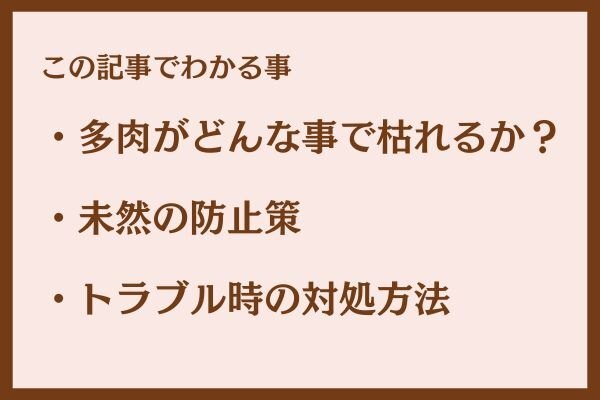 初心者がやりがち枯らす原因ノウハウ1.jpg