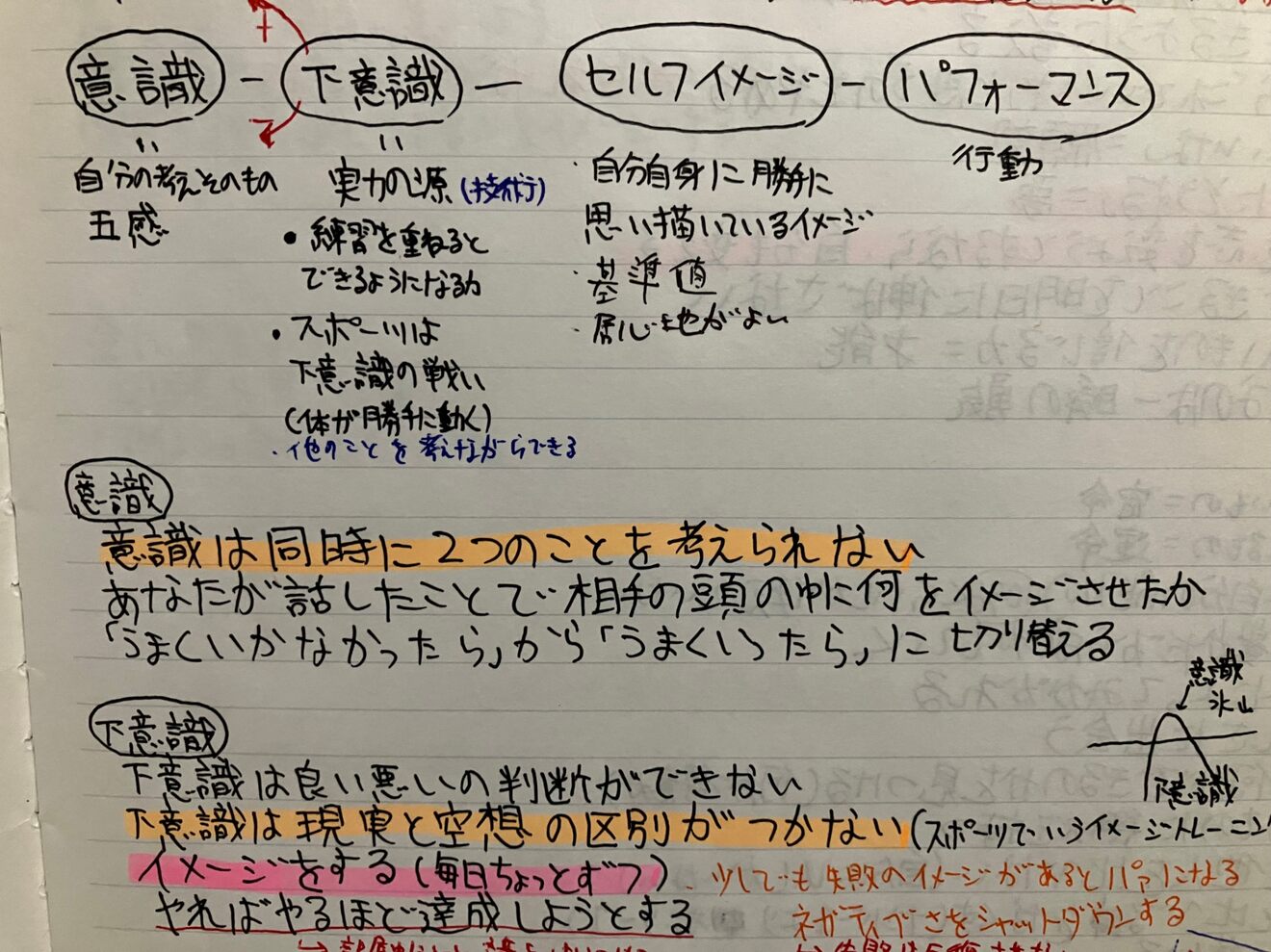 IMG_6155.JPEG