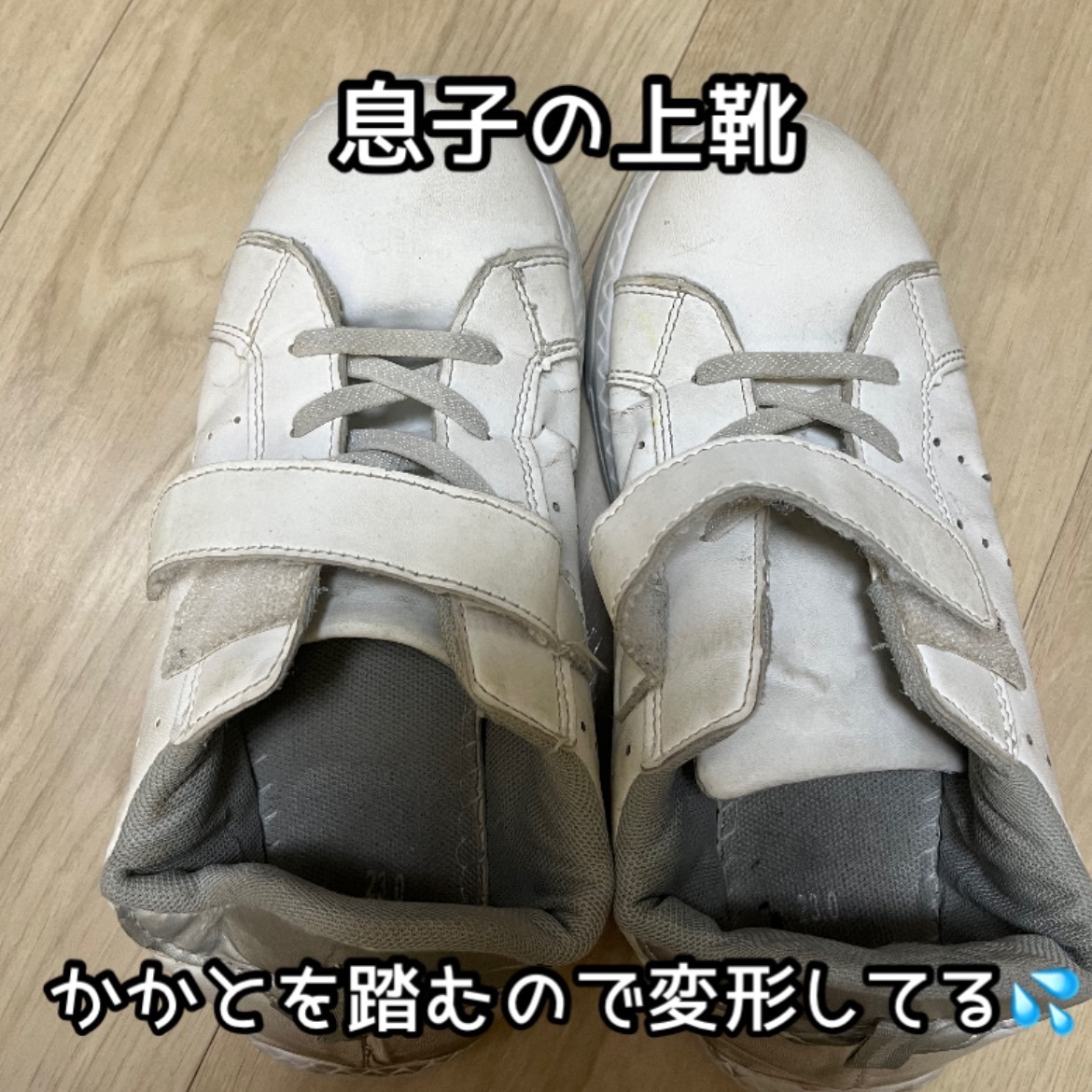 IMG_7512.jpeg