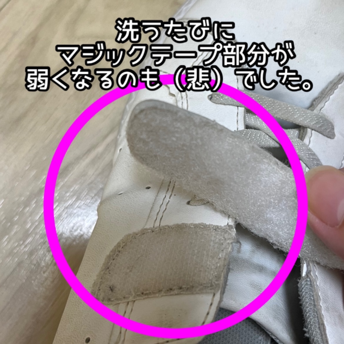 IMG_7513.jpeg