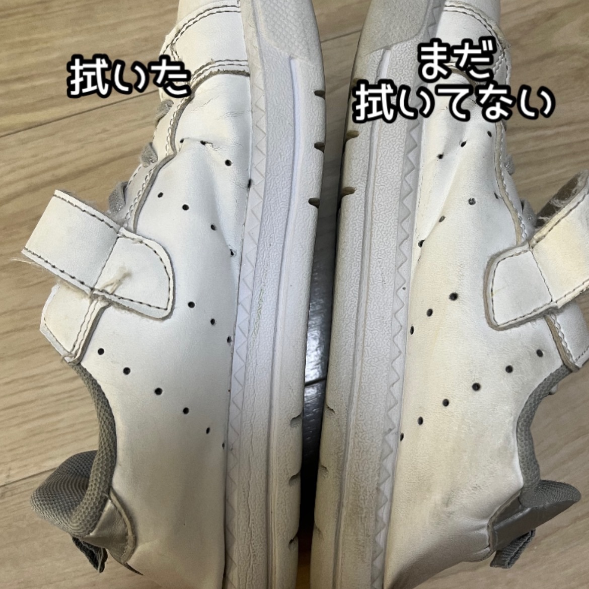 IMG_7518.jpeg