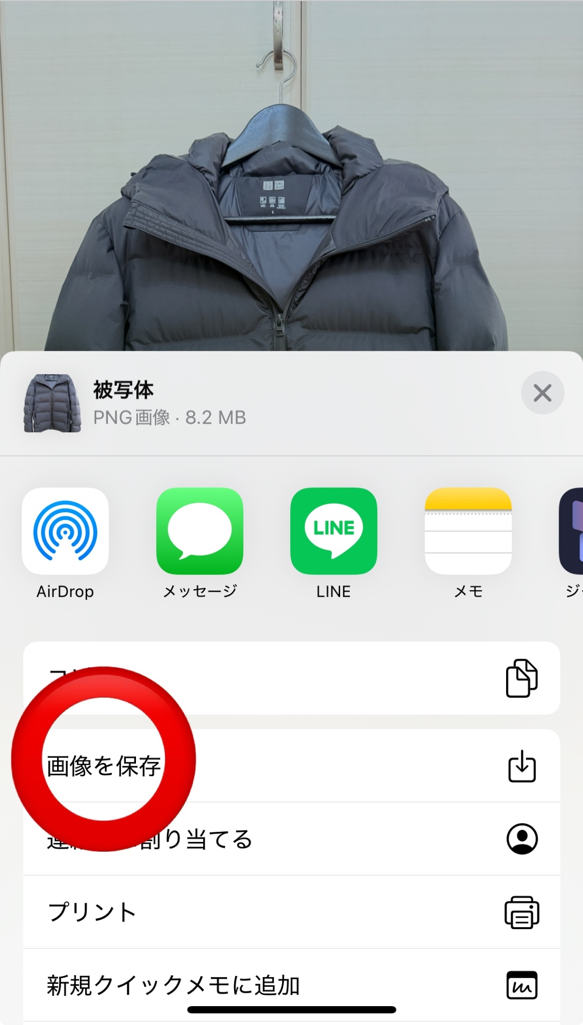 IMG_2642.jpeg