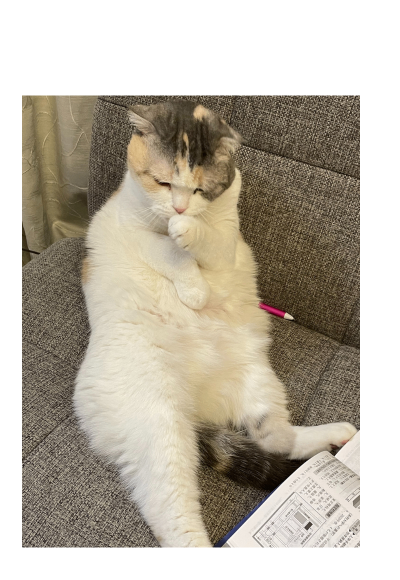 名称未設定のデザイン (13).png