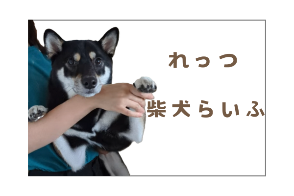 ＼現役保育士が教える／子育て家庭で使える魔法の時短術 (9).png