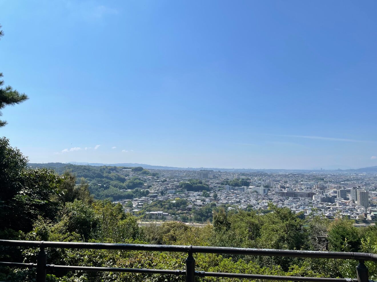 IMG_9024.jpeg