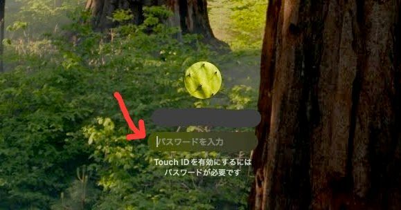 LWScreenShot 2024-11-01 at 午前10.17.43-EDIT-EDIT.jpg